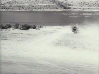 Faster Pussycat, Kill, Kill