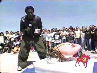 I Bet You Will- Cottage Cheese