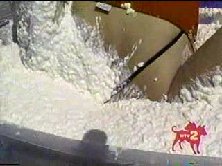 I Bet You Will- Cottage Cheese