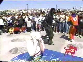 I Bet You Will- Cottage Cheese