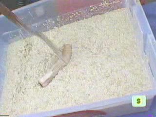 I Bet You Will- Oatmeal