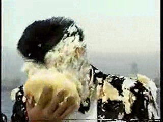 Japanese Variety Show