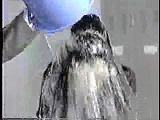 Japanese comedy shows (7)