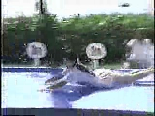 Japanese comedy shows,  Japanese gameshow