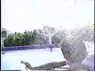 Japanese comedy shows,  Japanese gameshow