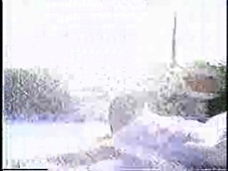 Japanese comedy shows,  Japanese gameshow