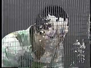 Japanese comedy shows (4)