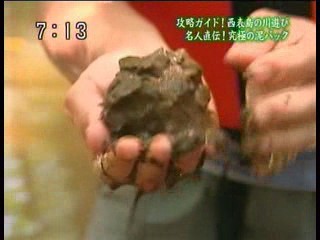 Japanese news report