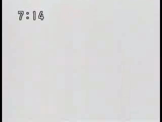 Japanese news report