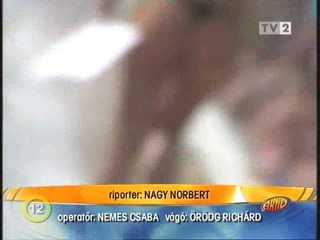 Hungarian Wet T-shirt contest