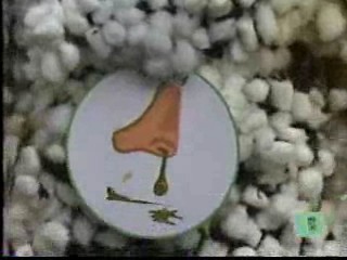 I Bet You Will -- Molasses and Cotton Balls