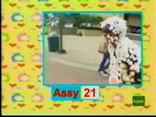 I Bet You Will -- Molasses and Cotton Balls