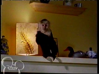 The Jersey -- Hillary Yogurt & Noodles