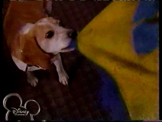 The Jersey -- Hillary Tray of Food