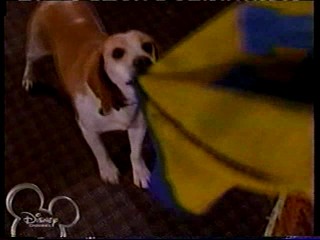 The Jersey -- Hillary Tray of Food