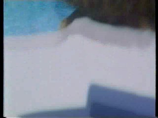 Summer Night Fever -- Olivia Pascal Pool