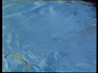 Summer Night Fever -- Olivia Pascal Pool