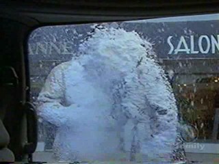 Honey, I Shrunk the Kids: The TV Show