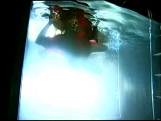 Britain's Next Top Model