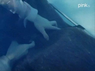 The Man from Atlantis - ep.3 The Killer Spores