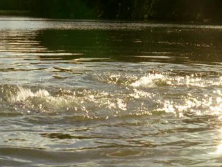 Dlaczego nie! Part 2