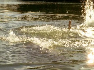 Dlaczego nie! Part 2