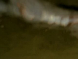 Dlaczego nie! Part 2