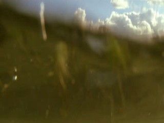 Dlaczego nie! Part 1