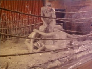 mud wrestling from This Is America, clip 1