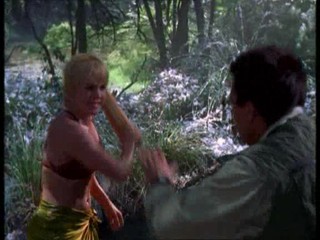 Xena: Warrior Princess