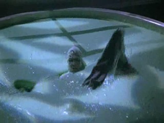 Batman & Robin 1997 (Male WAM)