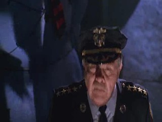 Batman & Robin 1997 (Male WAM)