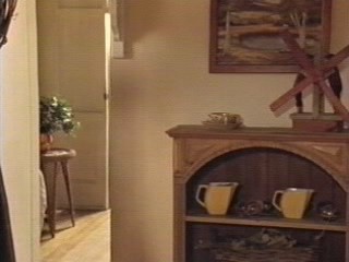 The Genie from Down Under