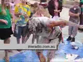 HOTFM - Juice TV - Women in chocolate and Flour