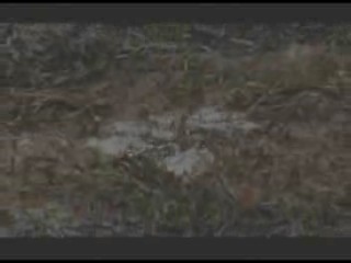 Die Insel der Angst 2 (German Horror Movie)