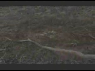 Die Insel der Angst 2 (German Horror Movie)