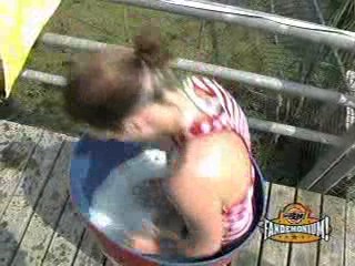 Japanese Paint Video, Fandemonium