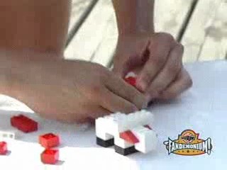 Japanese Paint Video, Fandemonium