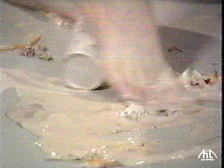 Rhonda Shear food foot smash