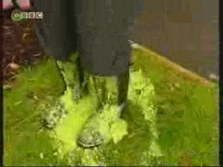 messy feet from XChange