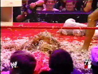 WWE tarred and feathered