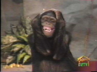 Wild Animal Games cocanut sauce