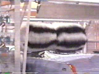 woman goes through car wash