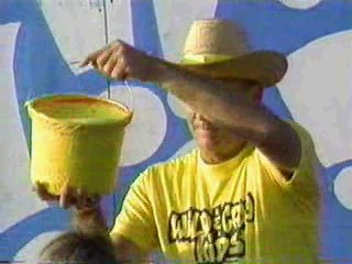 Wild and Crazy Kids mustard