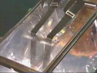 Fear Factor - S05E09 - Halloween Episode 2 - Stunt 3 - Bug Tumbler