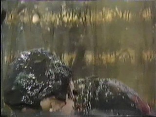 Noel's House Party - Joyce