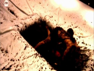 Steracteur Sterartiest