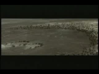 La Tortura - Shakira