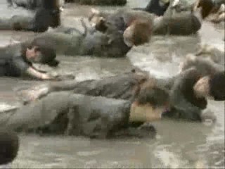 Boryeong - Korean mud festival 2