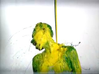 Funny commentary with paint shower